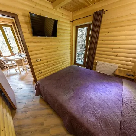 Karpatska Mykulychyn