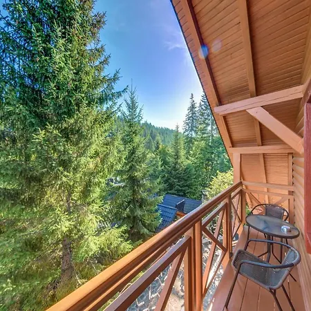 Feriested Karpatska Mykulychyn