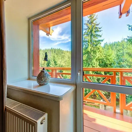 Karpatska Mykulychyn