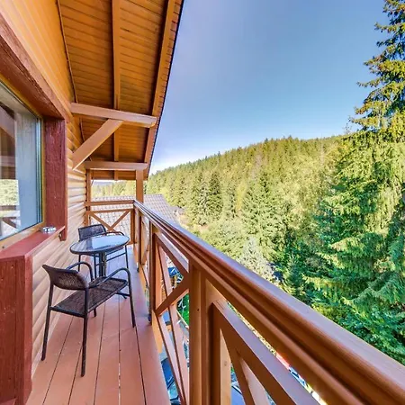 Karpatska Mykulychyn