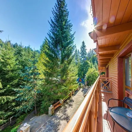 Karpatska * Mykulychyn