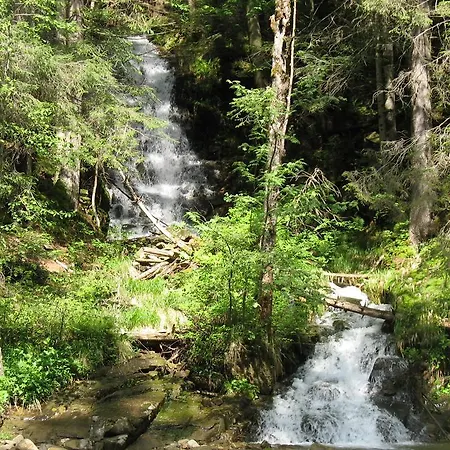 Karpatska * Mykulychyn