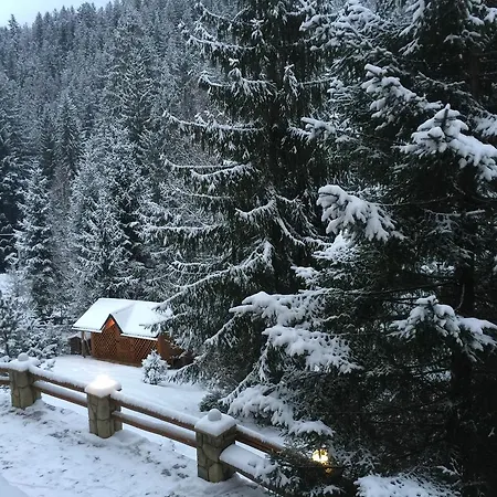 Karpatska
