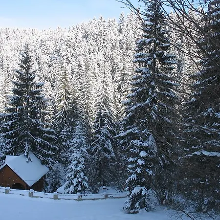 Karpatska * Mykulychyn