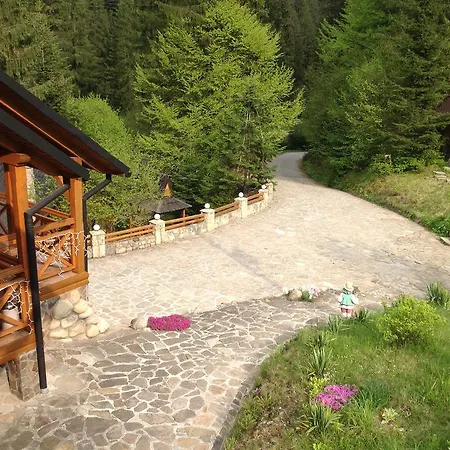 Karpatska *
