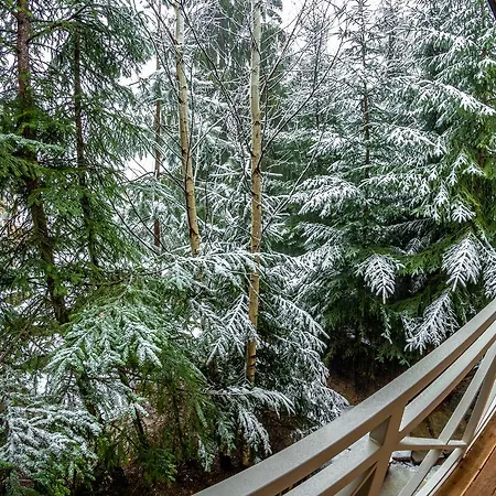 Feriested Karpatska *