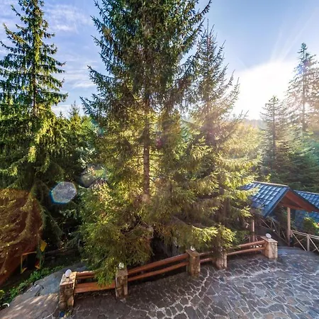 Karpatska 리조트 *