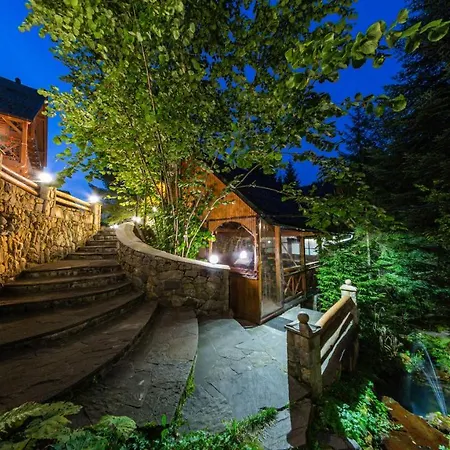 Karpatska 리조트 *