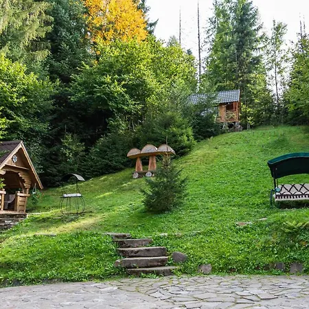 Karpatska *