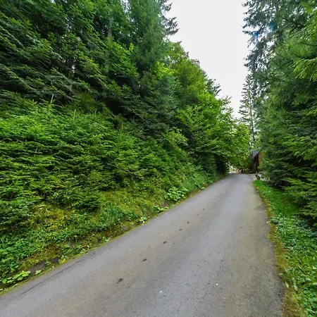 Karpatska 리조트 *